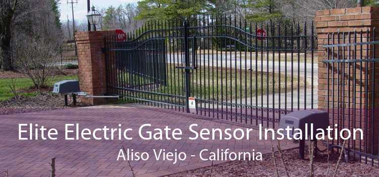 Elite Electric Gate Sensor Installation Aliso Viejo - California