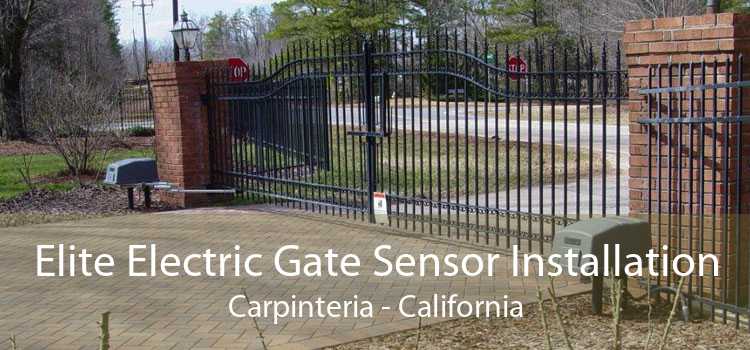 Elite Electric Gate Sensor Installation Carpinteria - California