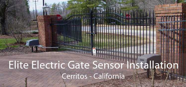 Elite Electric Gate Sensor Installation Cerritos - California