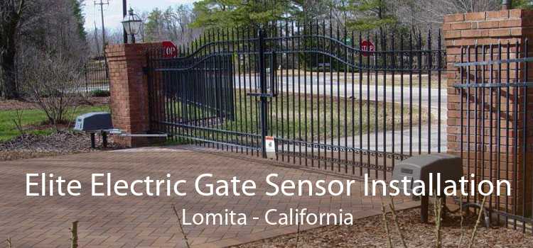 Elite Electric Gate Sensor Installation Lomita - California