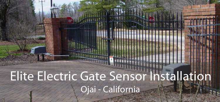 Elite Electric Gate Sensor Installation Ojai - California