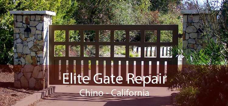 Elite Gate Repair Chino - California