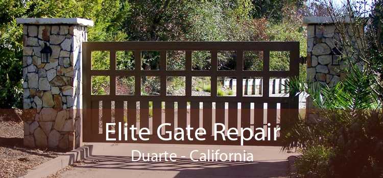 Elite Gate Repair Duarte - California