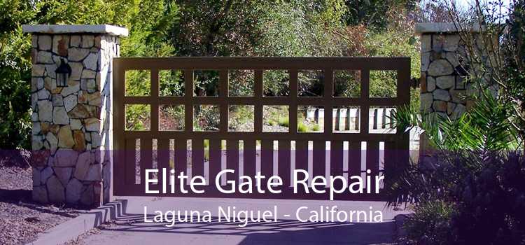 Elite Gate Repair Laguna Niguel - California