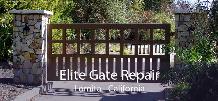 Elite Gate Repair Lomita - California