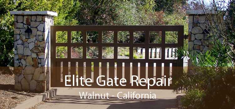 Elite Gate Repair Walnut - California