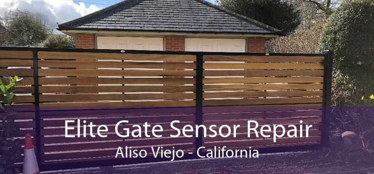 Elite Gate Sensor Repair Aliso Viejo - California