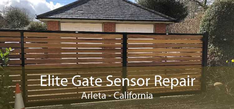 Elite Gate Sensor Repair Arleta - California