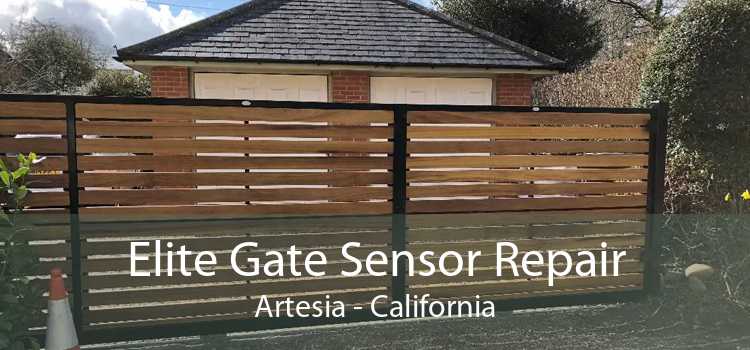 Elite Gate Sensor Repair Artesia - California