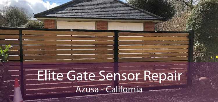 Elite Gate Sensor Repair Azusa - California