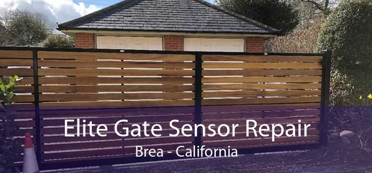 Elite Gate Sensor Repair Brea - California