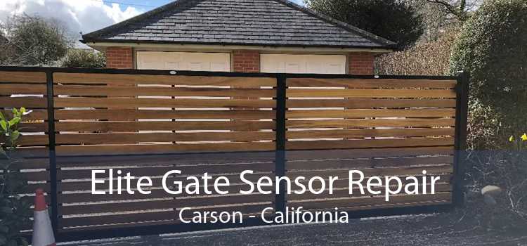 Elite Gate Sensor Repair Carson - California