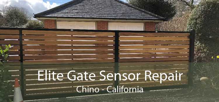 Elite Gate Sensor Repair Chino - California