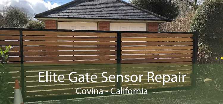 Elite Gate Sensor Repair Covina - California