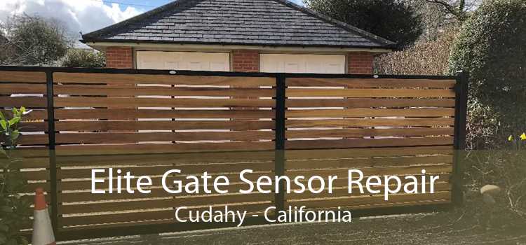 Elite Gate Sensor Repair Cudahy - California