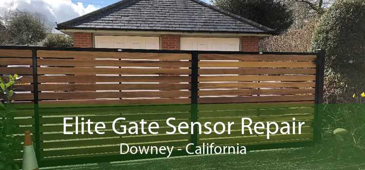 Elite Gate Sensor Repair Downey - California