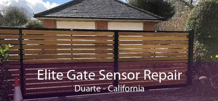 Elite Gate Sensor Repair Duarte - California