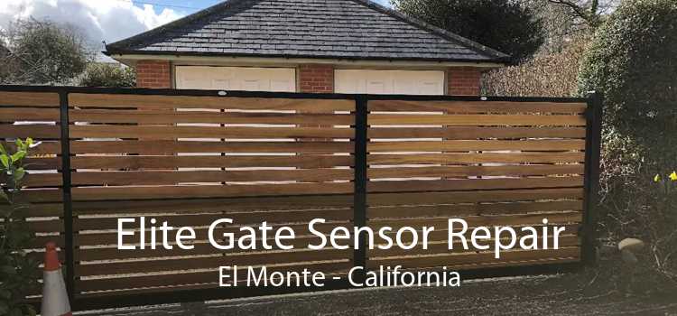 Elite Gate Sensor Repair El Monte - California