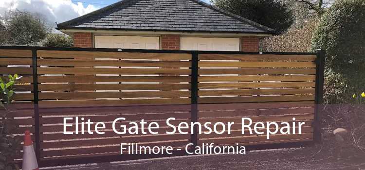 Elite Gate Sensor Repair Fillmore - California