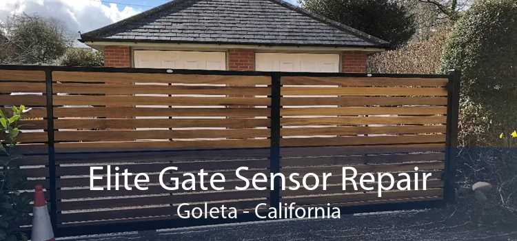 Elite Gate Sensor Repair Goleta - California