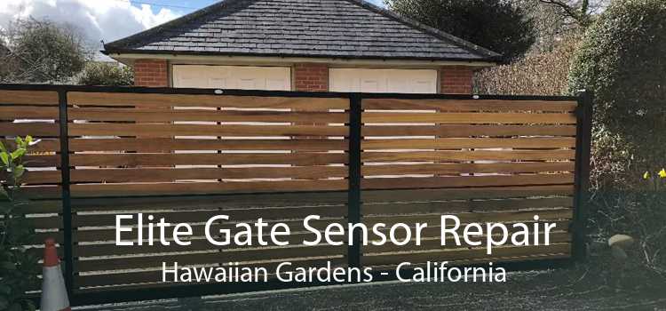 Elite Gate Sensor Repair Hawaiian Gardens - California