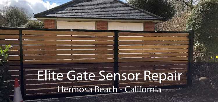 Elite Gate Sensor Repair Hermosa Beach - California