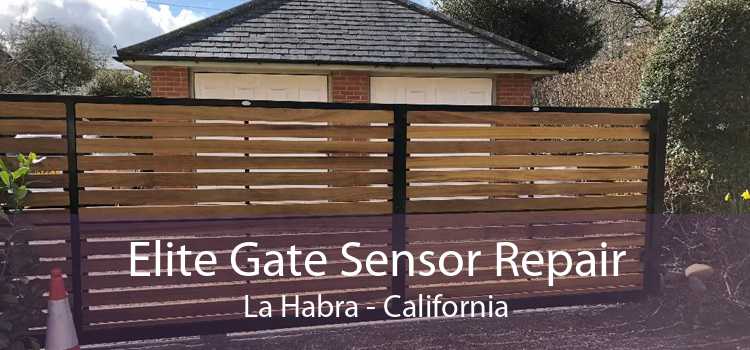 Elite Gate Sensor Repair La Habra - California