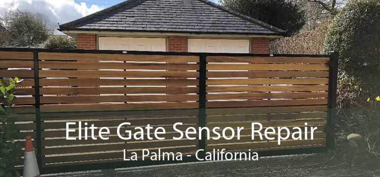 Elite Gate Sensor Repair La Palma - California