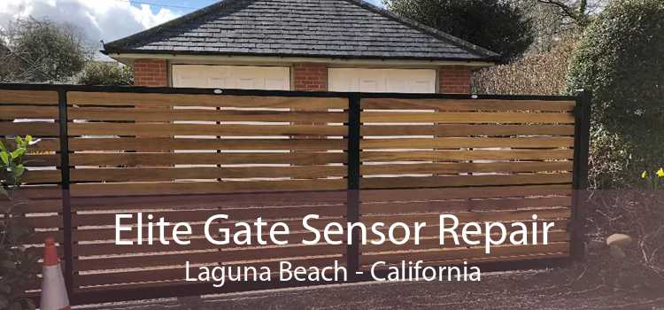 Elite Gate Sensor Repair Laguna Beach - California