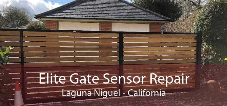 Elite Gate Sensor Repair Laguna Niguel - California