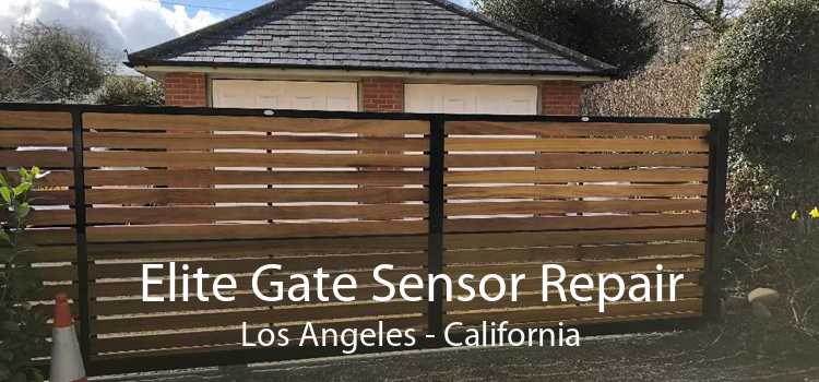 Elite Gate Sensor Repair Los Angeles - California