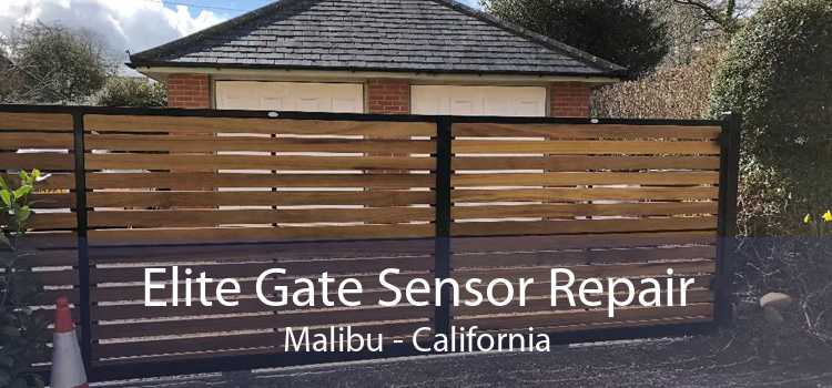 Elite Gate Sensor Repair Malibu - California