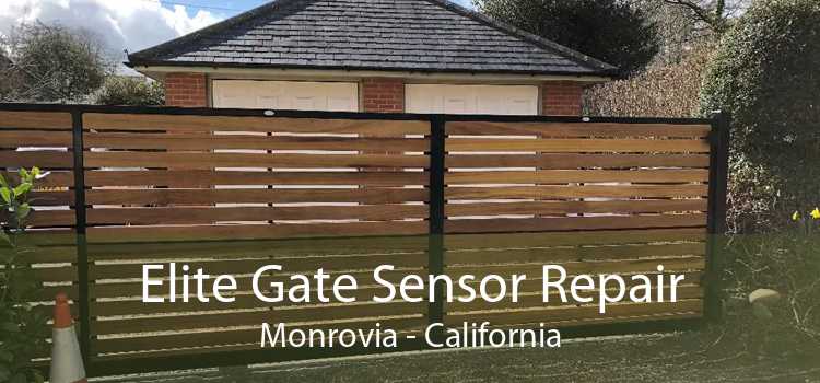 Elite Gate Sensor Repair Monrovia - California