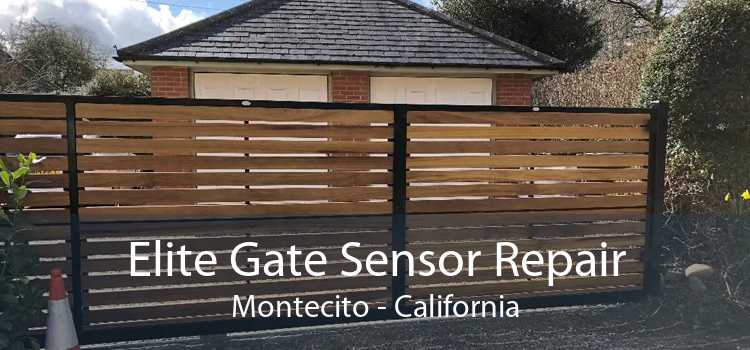 Elite Gate Sensor Repair Montecito - California