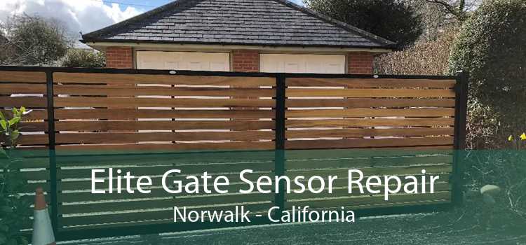 Elite Gate Sensor Repair Norwalk - California