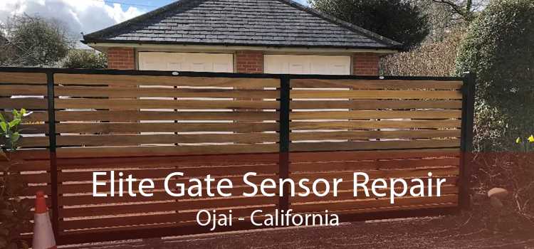 Elite Gate Sensor Repair Ojai - California