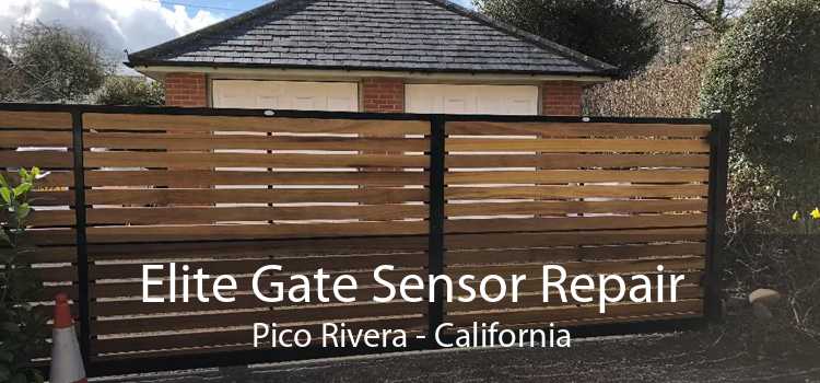 Elite Gate Sensor Repair Pico Rivera - California