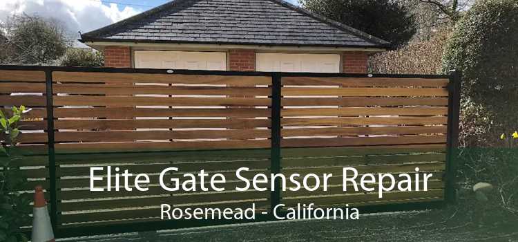 Elite Gate Sensor Repair Rosemead - California