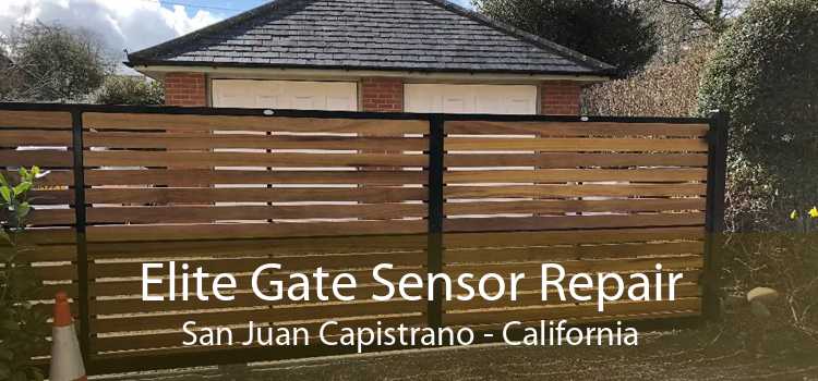 Elite Gate Sensor Repair San Juan Capistrano - California