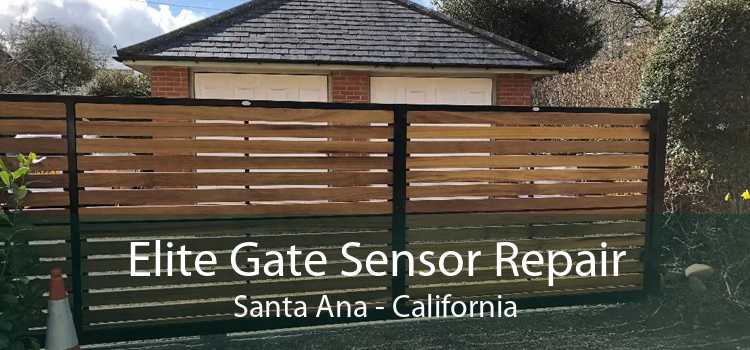 Elite Gate Sensor Repair Santa Ana - California