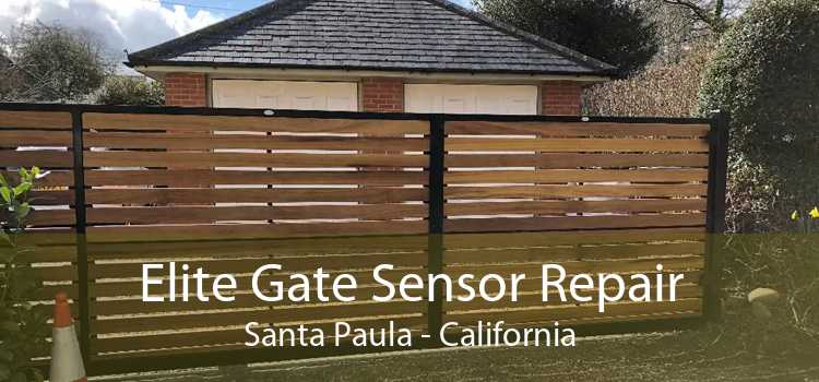 Elite Gate Sensor Repair Santa Paula - California