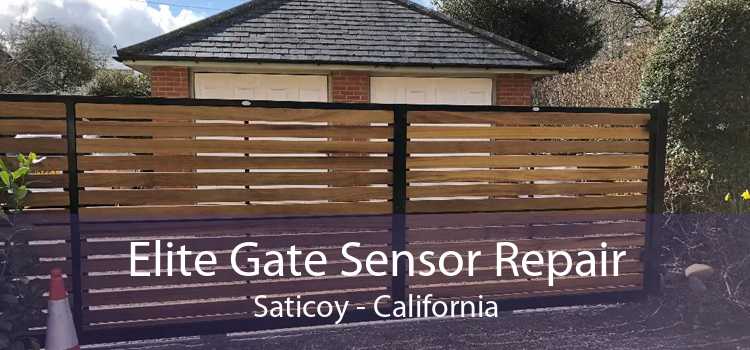 Elite Gate Sensor Repair Saticoy - California