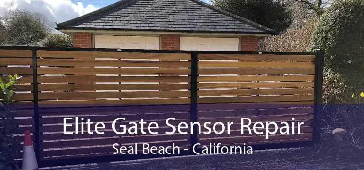 Elite Gate Sensor Repair Seal Beach - California