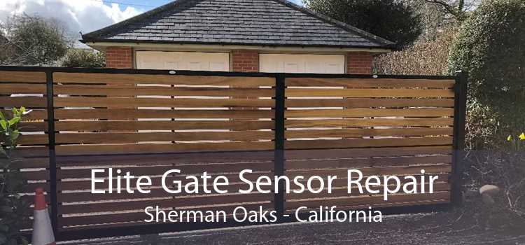 Elite Gate Sensor Repair Sherman Oaks - California