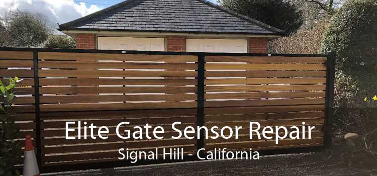 Elite Gate Sensor Repair Signal Hill - California