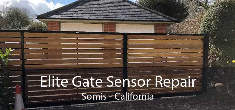 Elite Gate Sensor Repair Somis - California