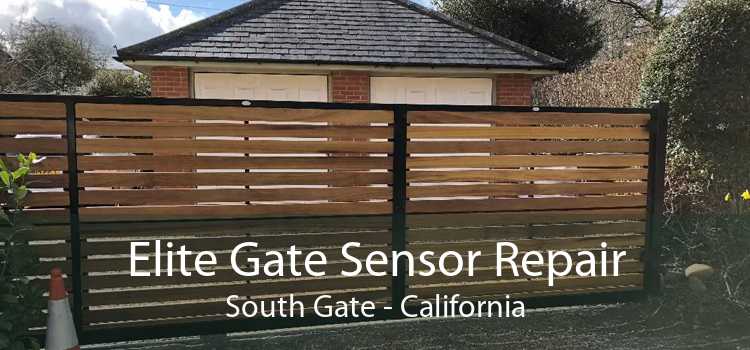 Elite Gate Sensor Repair South Gate - California