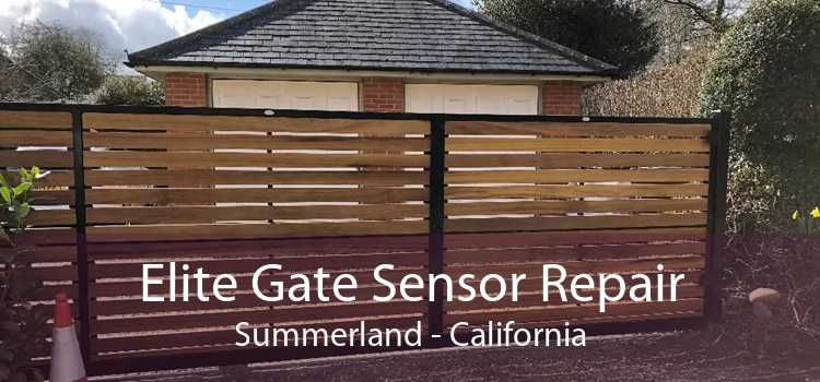 Elite Gate Sensor Repair Summerland - California