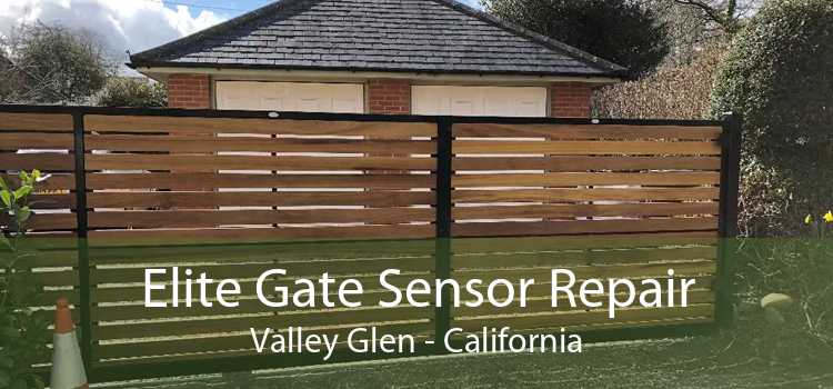 Elite Gate Sensor Repair Valley Glen - California