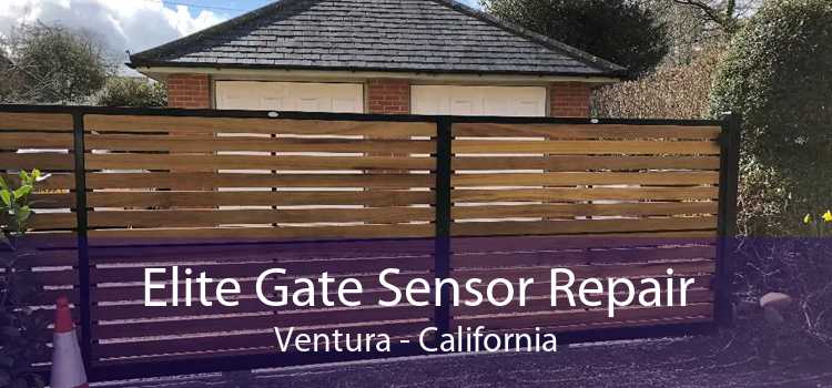 Elite Gate Sensor Repair Ventura - California